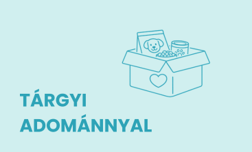 KÖZÖS PROJEKTEKKEL (1)