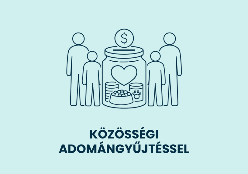 Animera Állatvédelem - képek - 2026-05-26T180709.201
