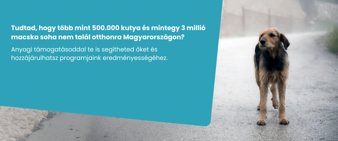 2972458c8880bac383125fe61e5742f9b8ea3b9c